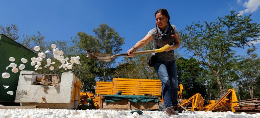 Limpian uno de los ros ms contaminados de Mxico con cascarones de huevo 