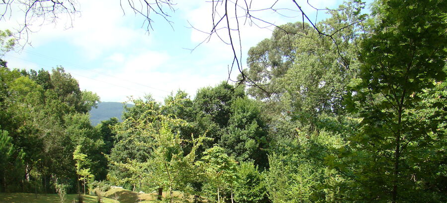 Bosques de Cantabria retoma las visitas guiadas por el Arboreto de Liendo 