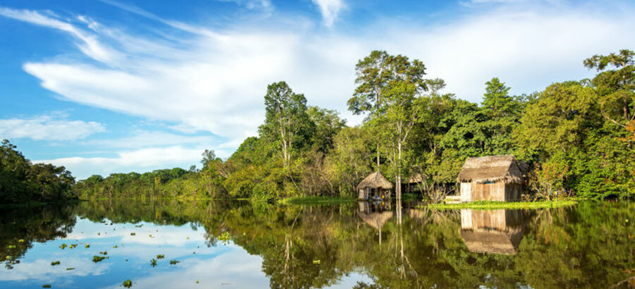 Los pueblos indgenas de la Amazona luchan por evitar la deforestacin 