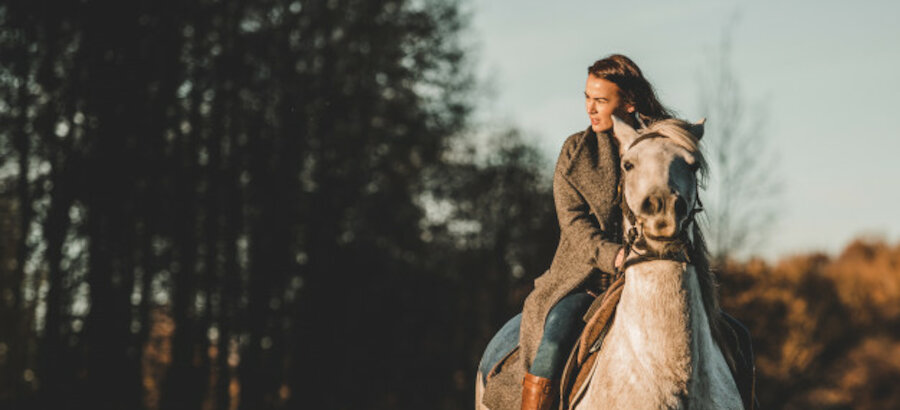 Especialistas proponer recuperar el caballo como medio de trasporte sostenible 