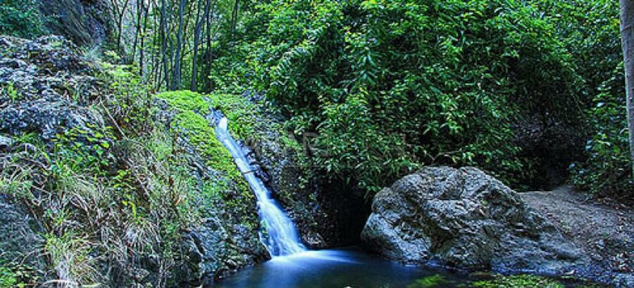 Gran Canaria comienza el plan de ordenacin de 9 espacios naturales 