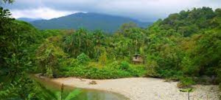 La Reserva Natural San Cipriano y sus brujitas  