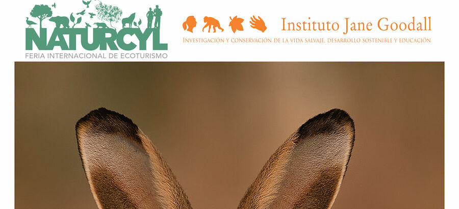 Cartel certamen de fotografa Naturcyl 2021