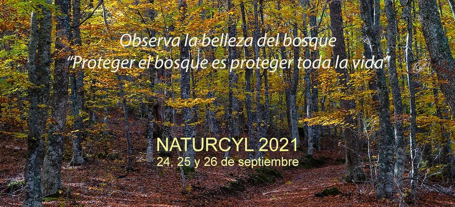 Ruesga se convierte en capital del ecoturismo con la celebracin de NATURCYL 2021  