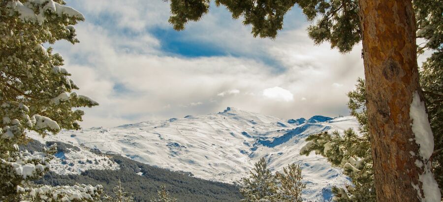 Noviembre de I Festival de Ecoturismo en Sierra Nevada 