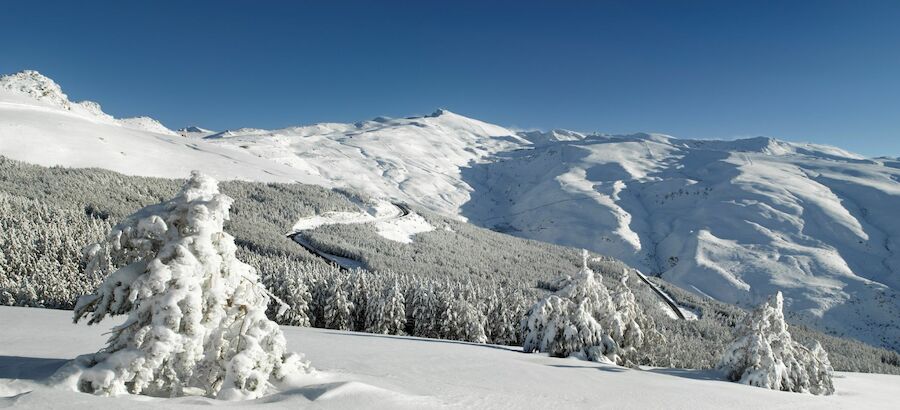 Sierra Nevada