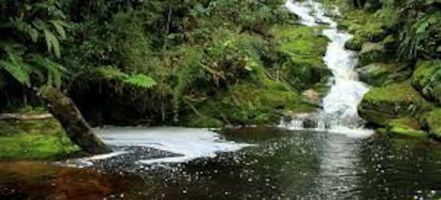 Seis parques naturales de Colombia poco frecuentados y accesibles 