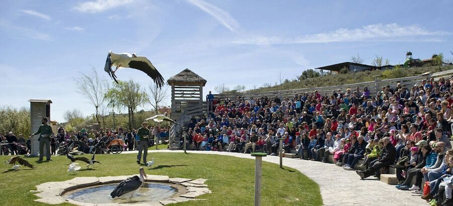 Sendaviva galardonada con el premio al Mejor Parque de Naturaleza del Ao 