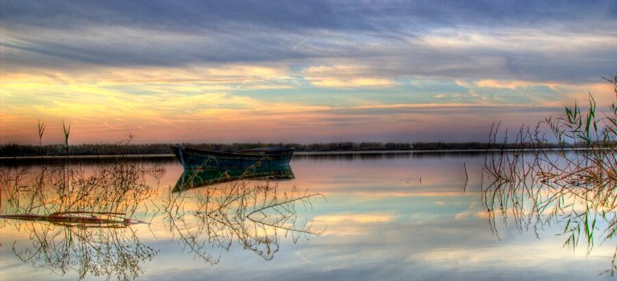   La Albufera de Valencia hogar de ms de 12000 flamencos  