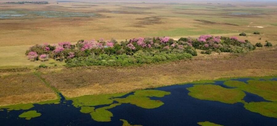 El Parque Nacional Iber en Argentina reabre sus puertas tras los incendios 