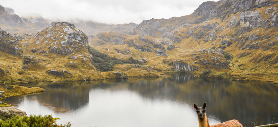 Los turistas latinoamericanos apuestan por el ecoturismo de sus zonas 