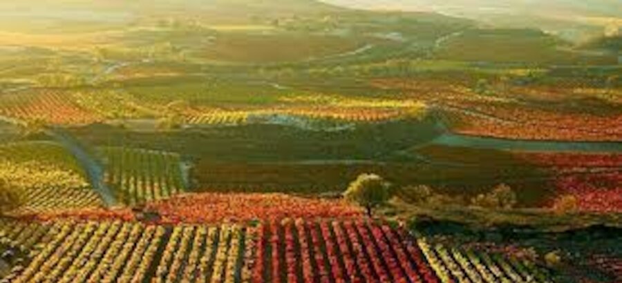 Nace el Clster de Productos Locales Gastronoma y Turismo rural de La Rioja 