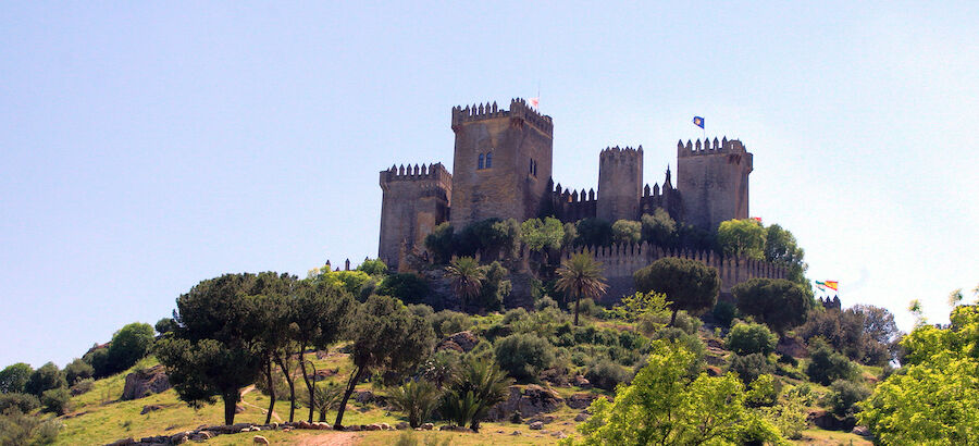 Castillo de Almodvar del Ro