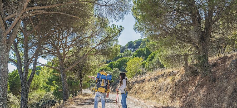 Contacto con la Naturaleza prioridad a la hora de viajar para los espaoles