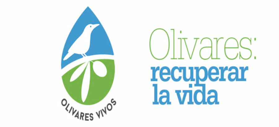 LIFE Olivares Vivos inicia su segunda edicin hasta 2026 