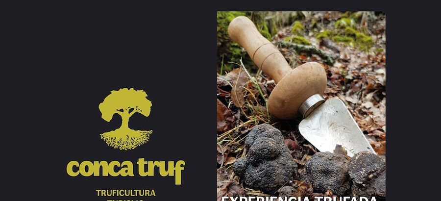 Tres empresas de Cuenca apuestan por la trufa con una ruta gastronmica  