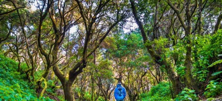 Practicar ecoturismo reduce nuestra huella de carbono 