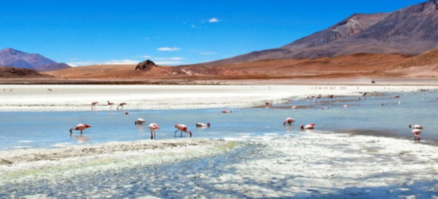 Los parques naturales de Chile en peligro por los yacimientos mineros 