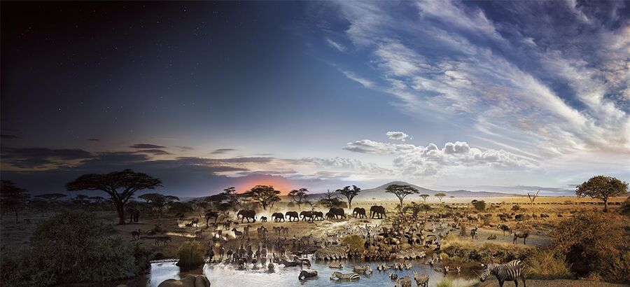 Parque Nacional del Serengeti Tanzania 