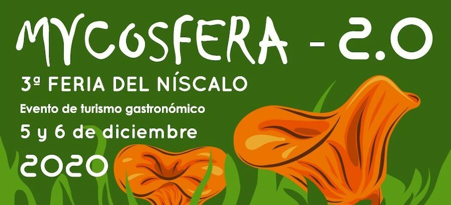 Setas y gastronoma Mycosfera celebra su tercera edicin en versin 20