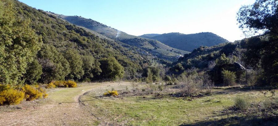 Parques Nacionales aade 706 hectreas del Parque Nacional de Cabaeros 