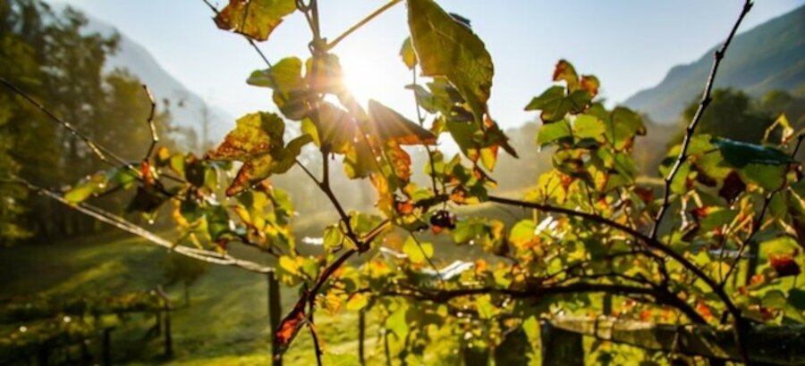 Catalua acoge el III Foro de Ecoturismo Naturaleza y Sostenibilidad 