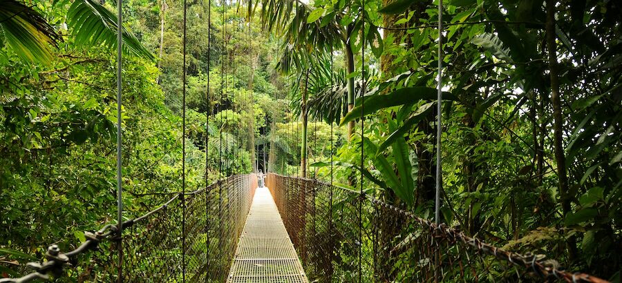 Destinos ecolgicos que debes conocer de Latinoamrica 