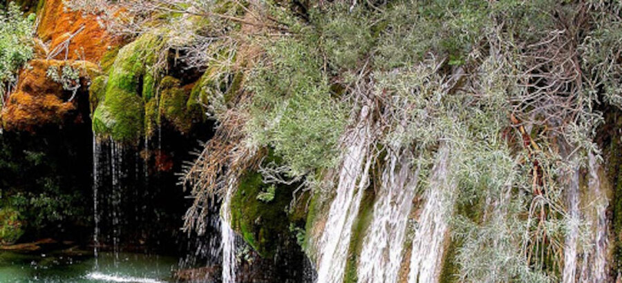 Castilla La Mancha destinar 25 millones de euros para espacios naturales protegidos 