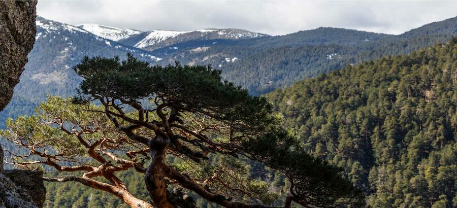 Los proyectos espaoles finalistas de los premios Natura 2000 