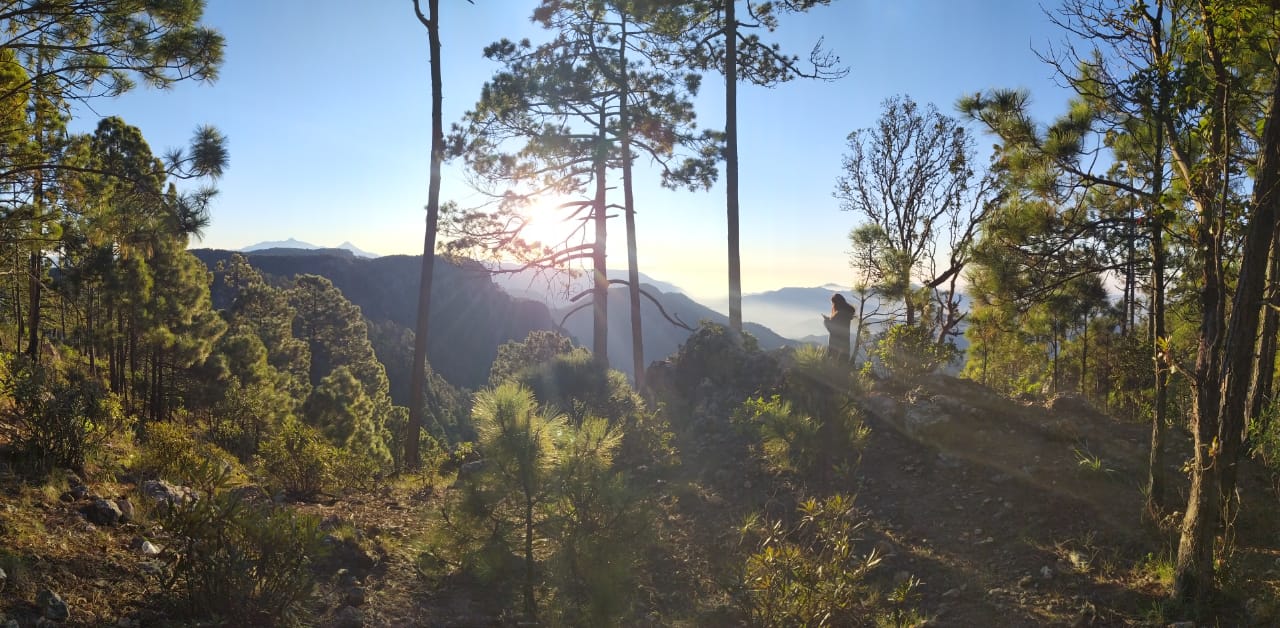 Reserva de la Biosfera Sierra de Manantlán