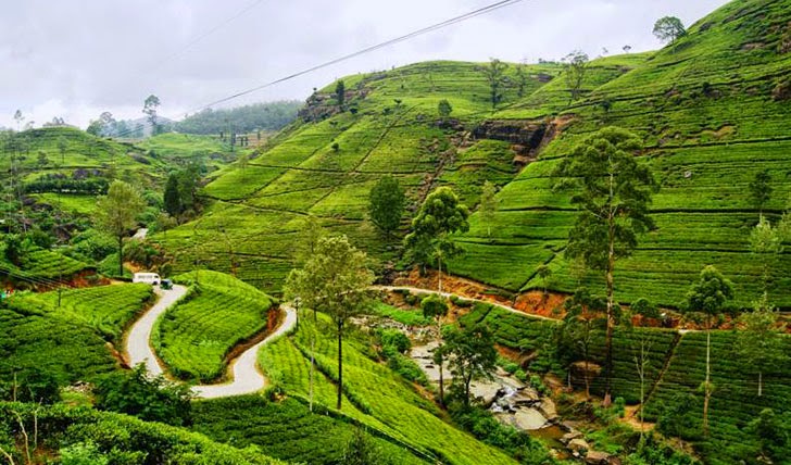 Paisajes de Sri Lanka (Sri Lanka) 