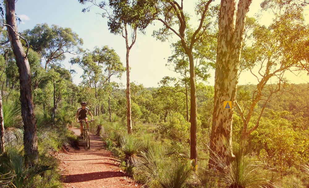 Munda Biddi Trail (Australia Occidental) 