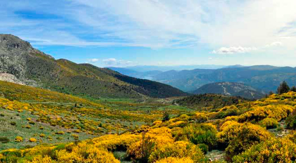 Sierra de Guadarrama 