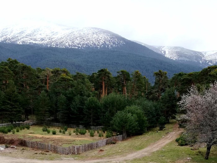 La Pradera de Navalhorno