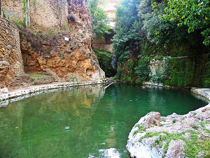 Charco de Las Canales en Albacete