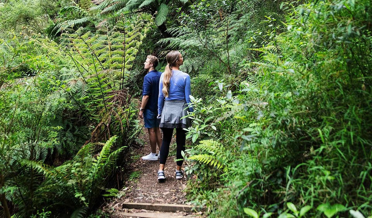 Parque Nacional de Great Otway, Australia tripadvisor.