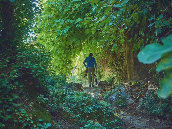 Sierra del Segura (Albacete) , ecoturismo