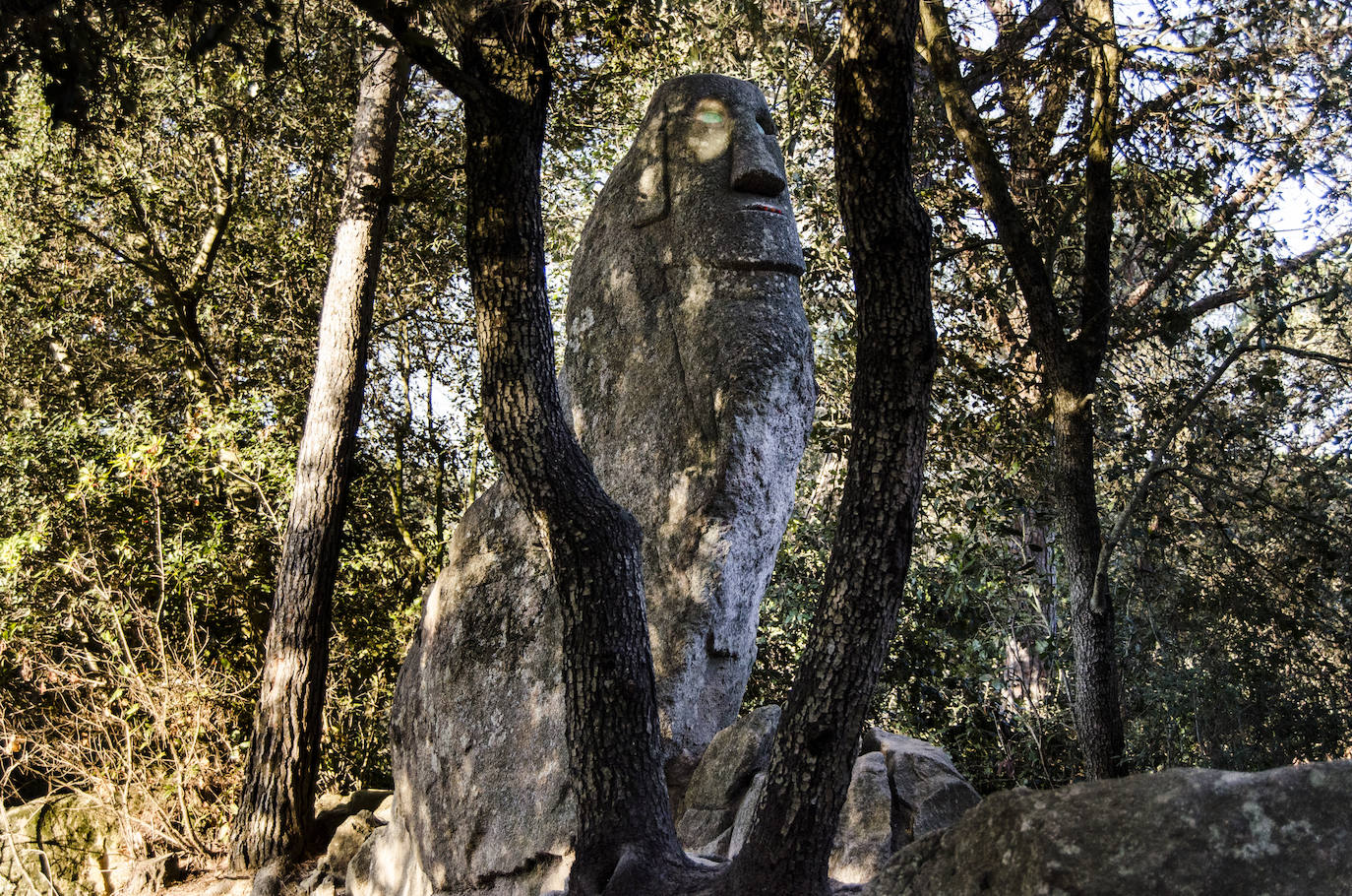 Bosque de Orrius (Barcelona) 