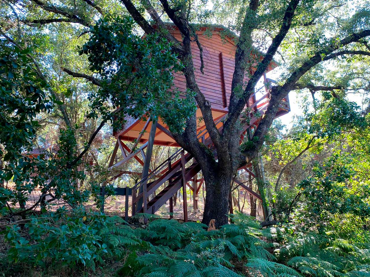 Ecolodge Cabañeros 