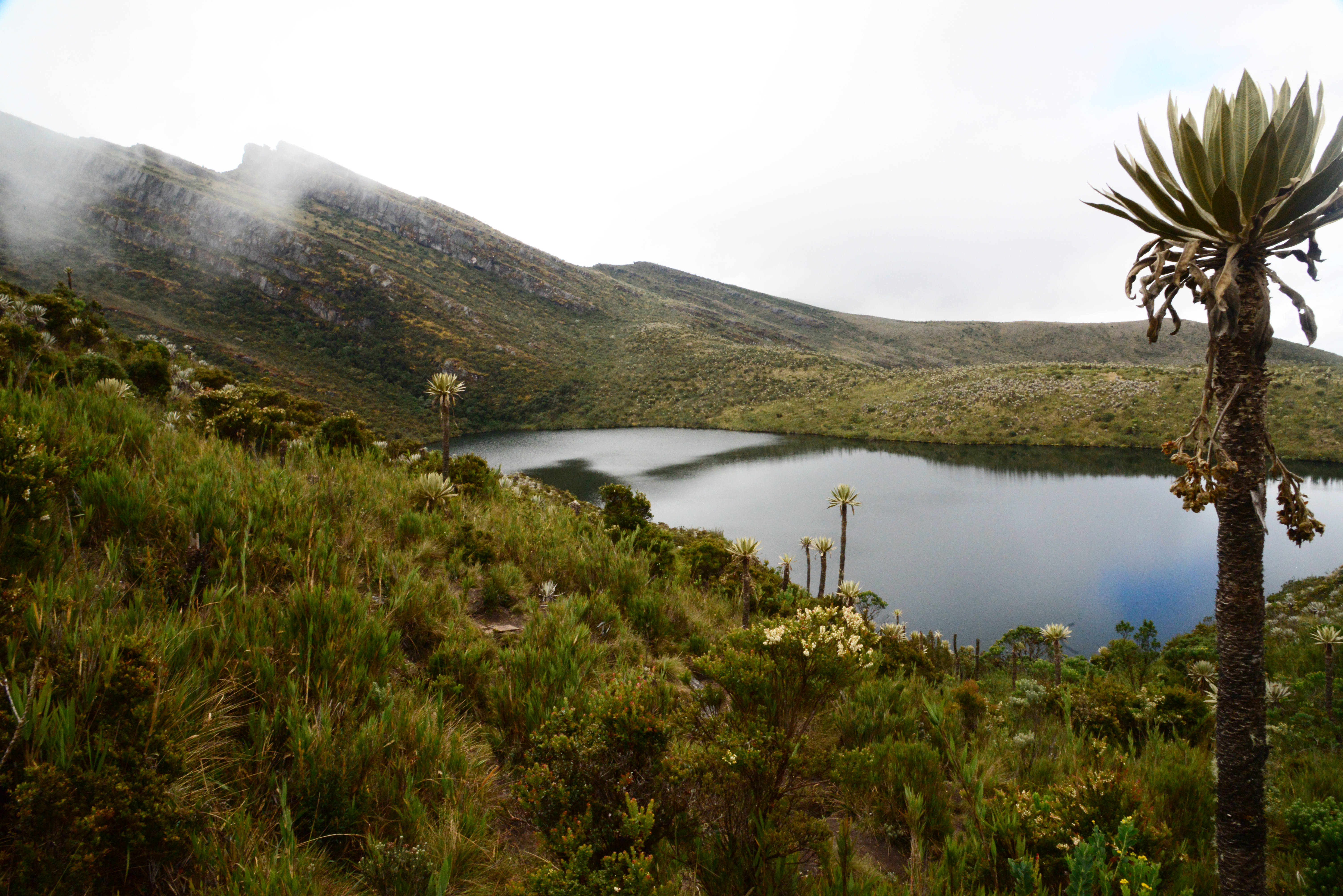  Parque Nacional Natural Chingaza, Colombia