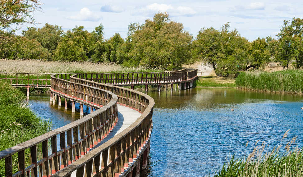 PARQUE NACIONAL DE LAS TABLAS DE DAIMIEL