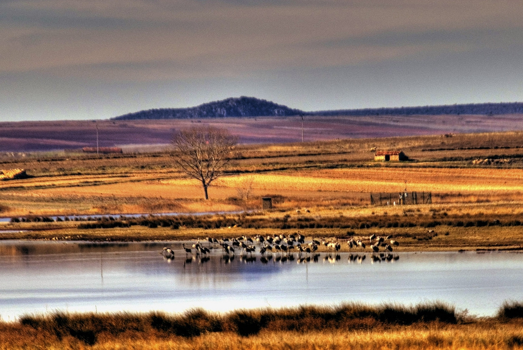 RESERVA NATURAL DE LA LAGUNA DE GALLOCANTA