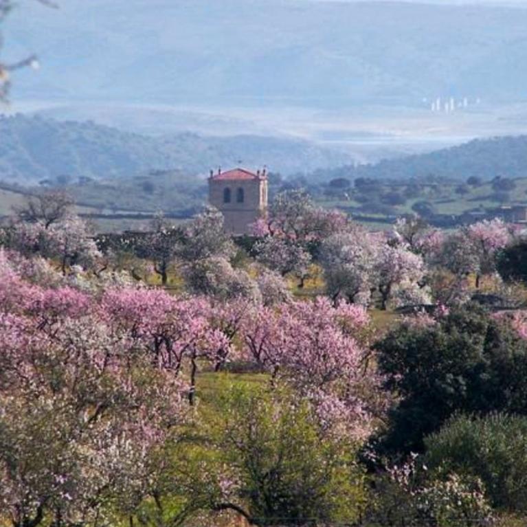 Garrovillas de Alcónetar (Cáceres) 