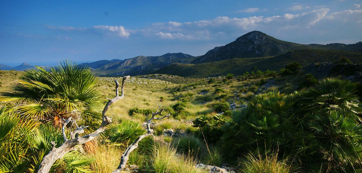 parque natural del Llevant, Mallorca