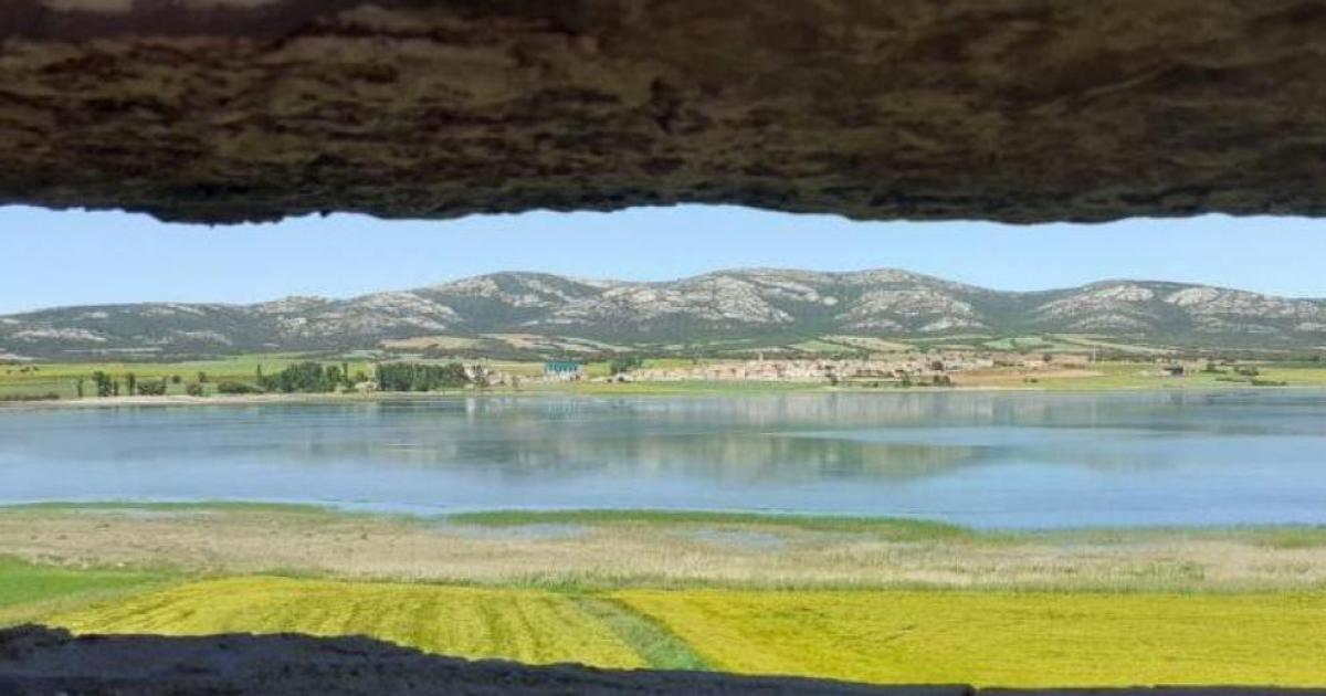 Reserva Natural de la Laguna de Gallocanta, Aragón 