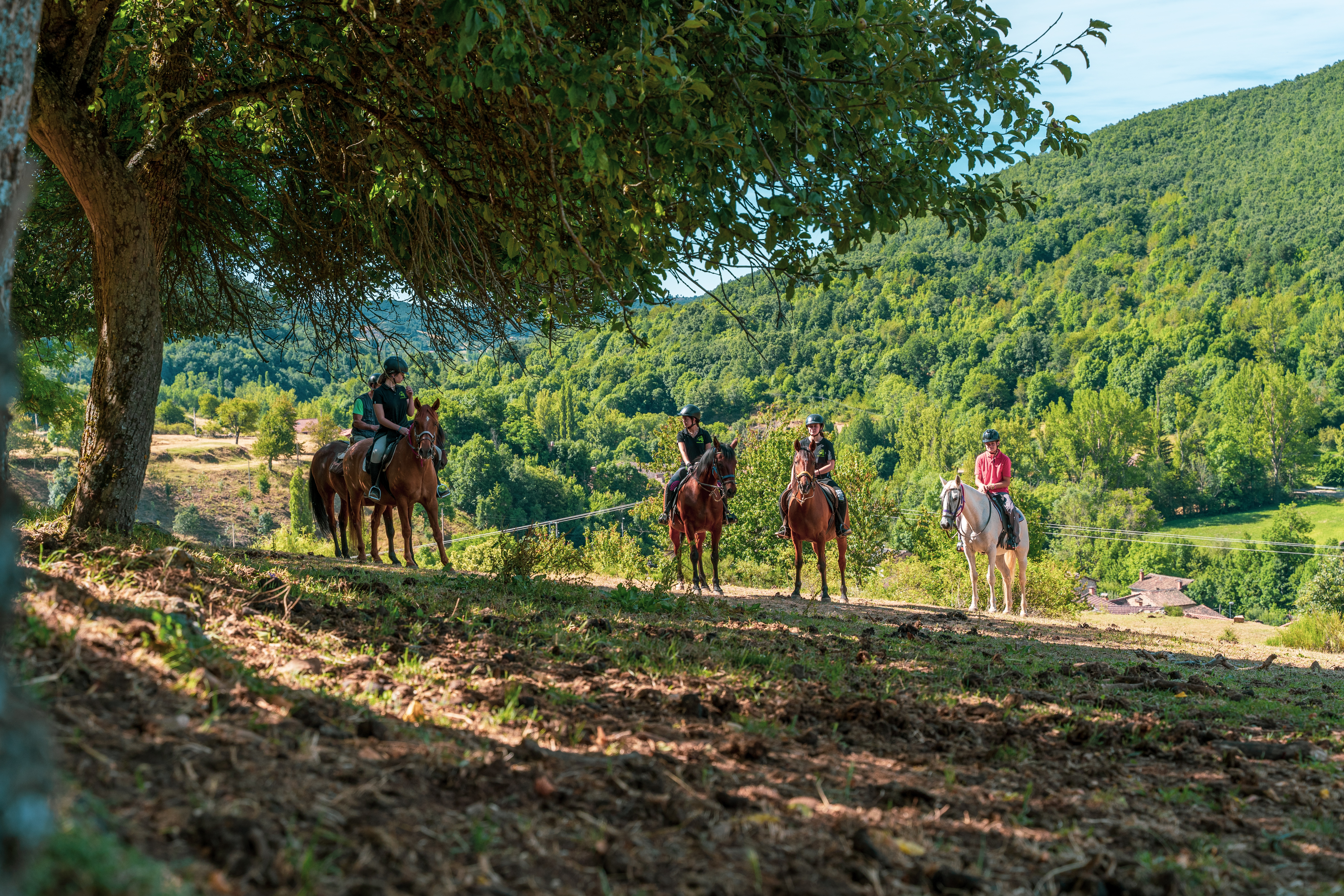  Montaña de Riaño 