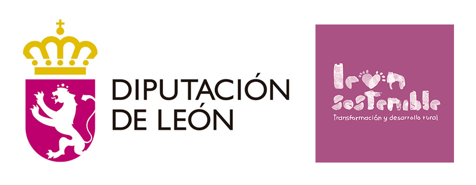 diputacion leon