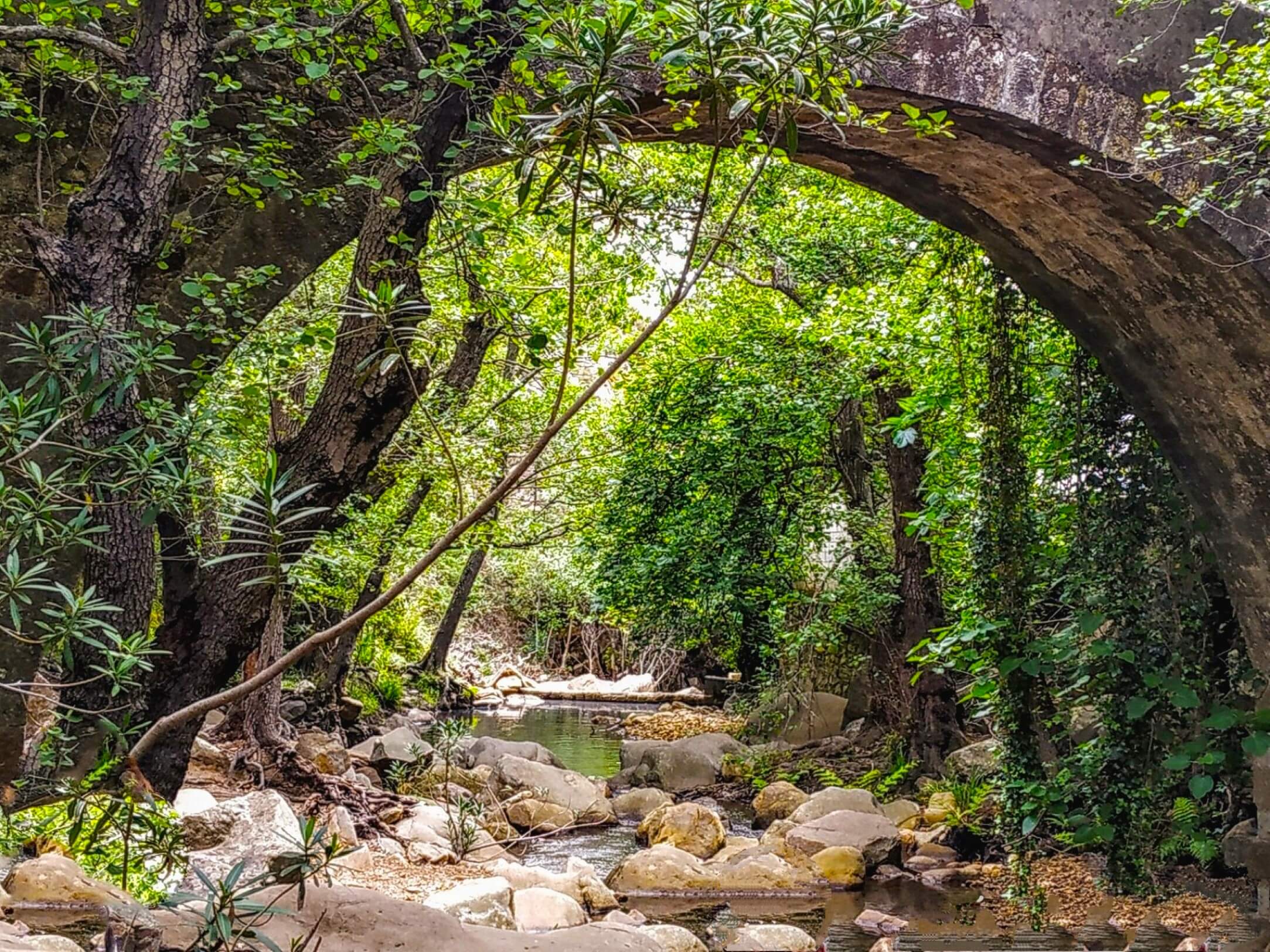 parque natural del parque Estrecho