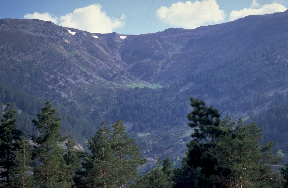 Sierra Cebollera, La Rioja