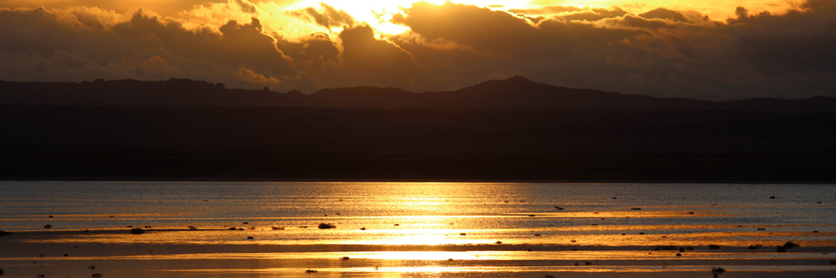 Las lagunas de Gallocanta 